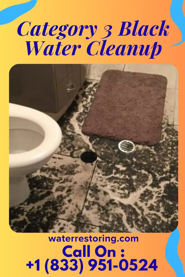 Category 3 Black Water Cleanup in Colon, NE