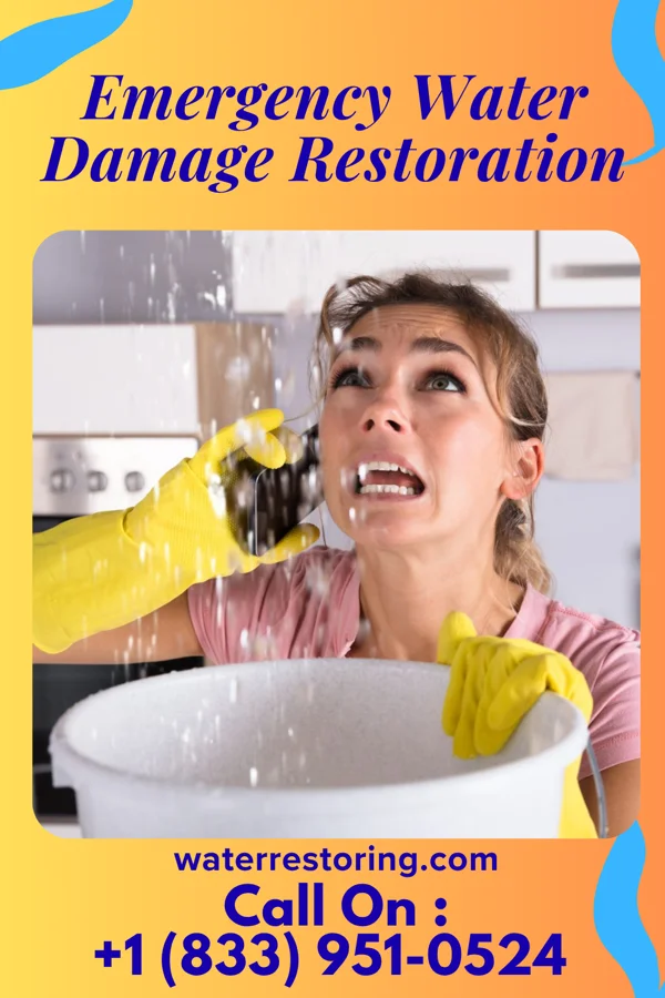 Emergency Water Damage Restoration in Colon, NE
