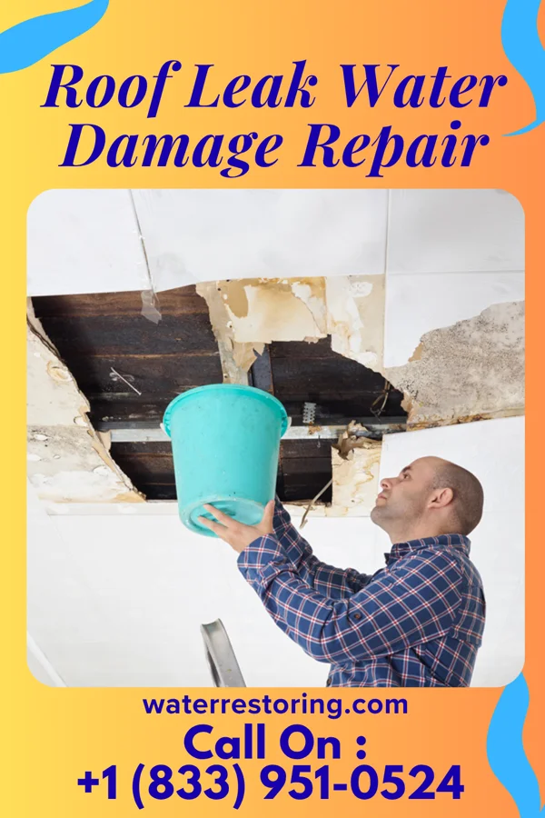 Roof Leak Water Damage Repair in Colon, NE